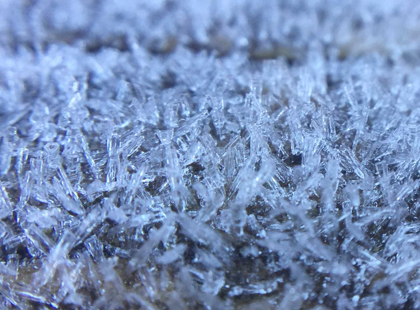 A second photo of ice crystals.