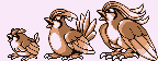 Sprite art of Pidgey and its evolutions.