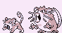 Sprite art of Ratata and Raticate.