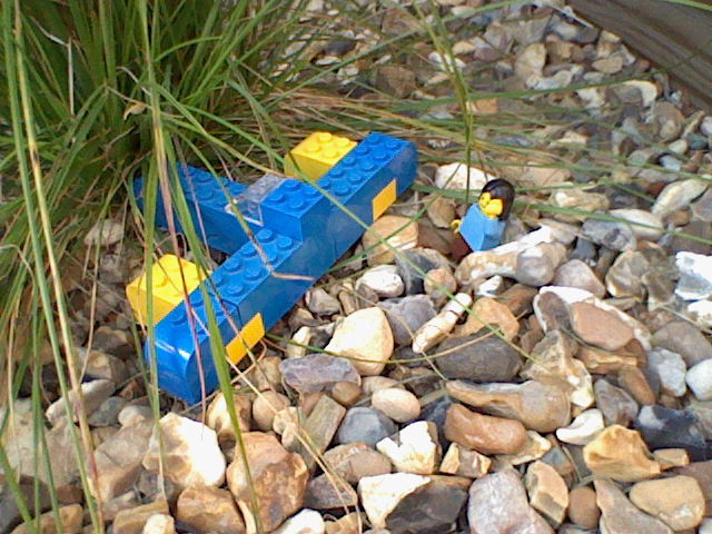 This photo shows a smaller Lego minifigure with a blue shirt and long hair standing amongst some pebbles. To the left is a blue and yellow spaceship made out of standard Lego bricks that has crashed into a tall grass plant. The minifigure looks shocked!